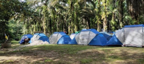 Gopeng Campsite